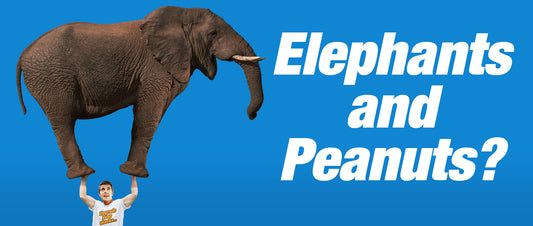 Do elephants really love peanuts?