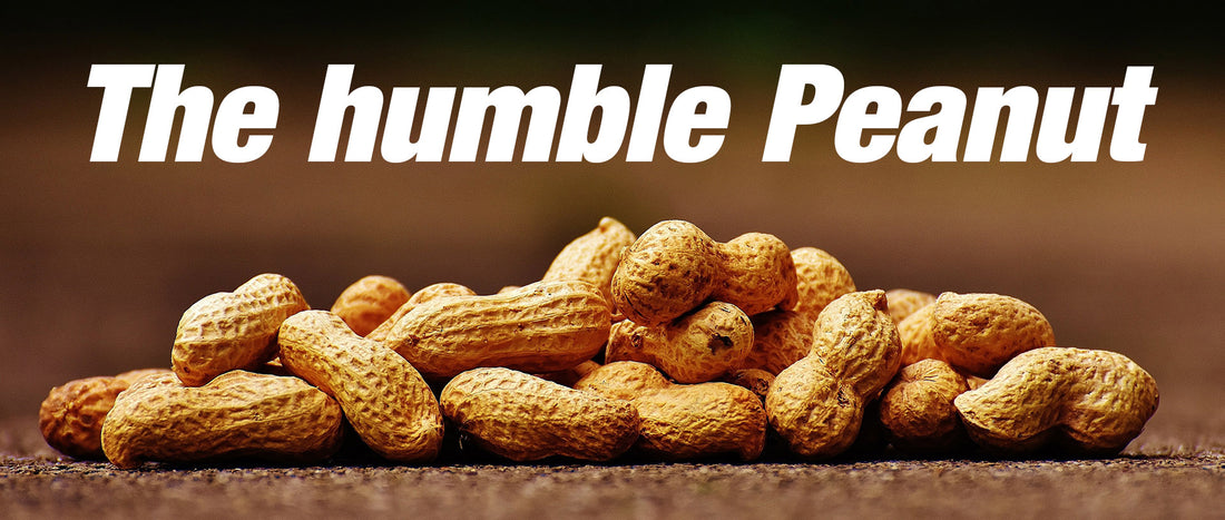 Wonderful benefits of the humble peanut