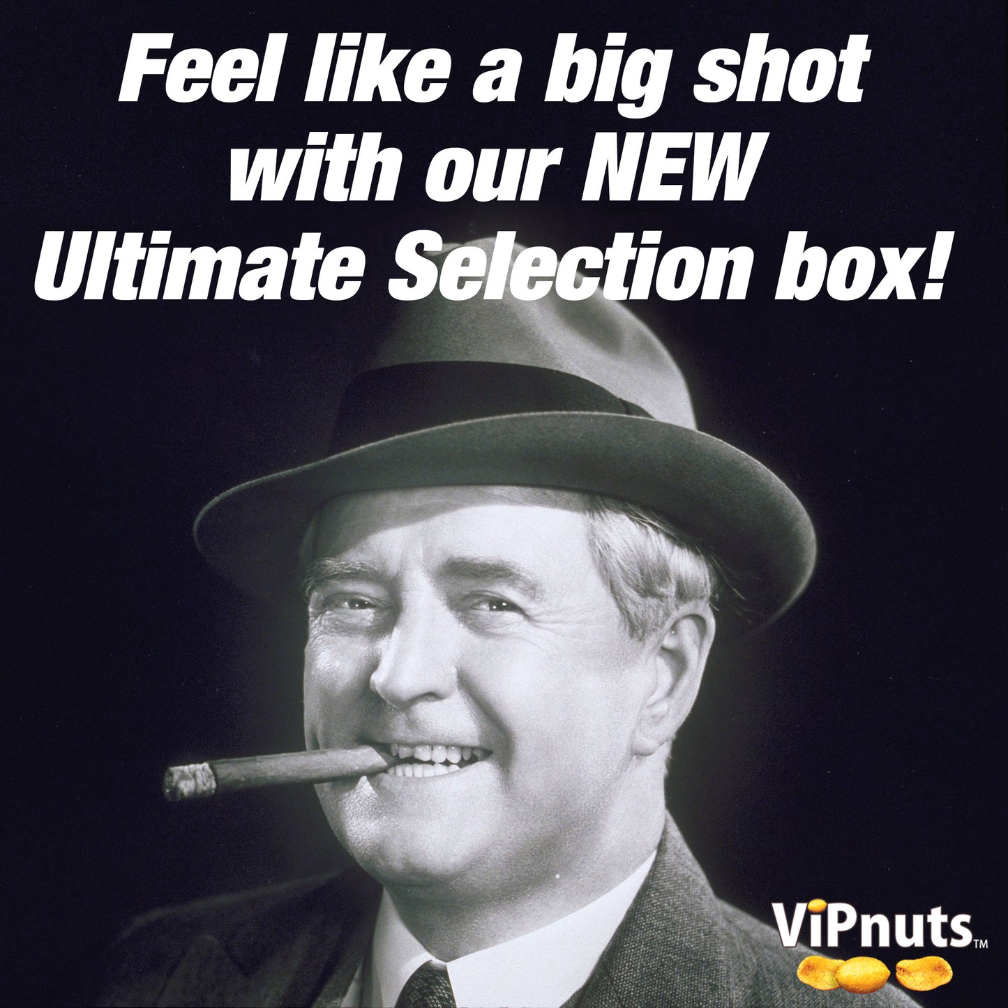 ViPnuts Ultimate Selection snack Box 12 x 63g - in easy to wrap gift box